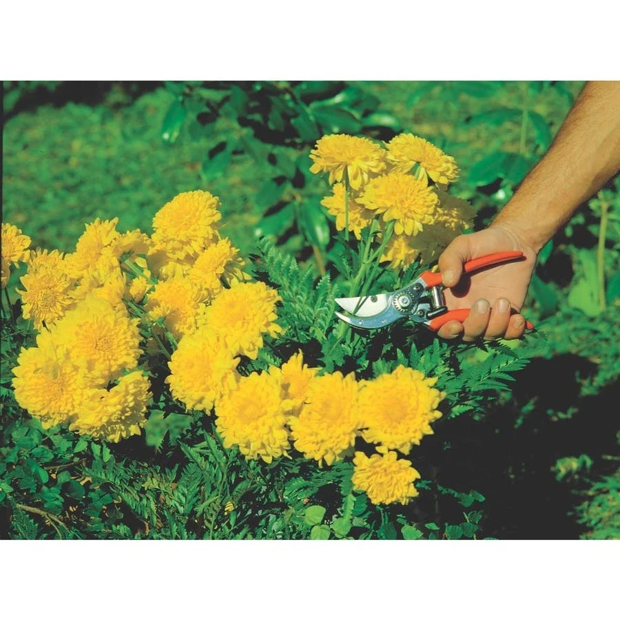 Tesoura Poda Profissional 78304/511 Tramontina