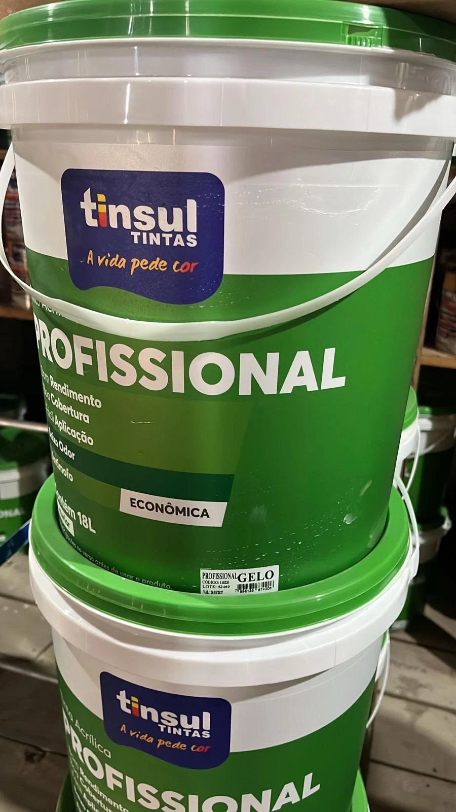 Acrilico Fosco Profissional Gelo Tinsul 18,0 Lts