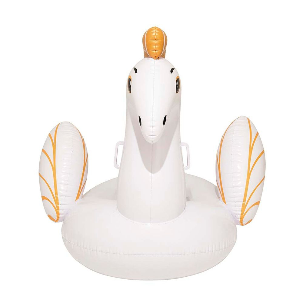 Boia Pegasus Medio (8) B