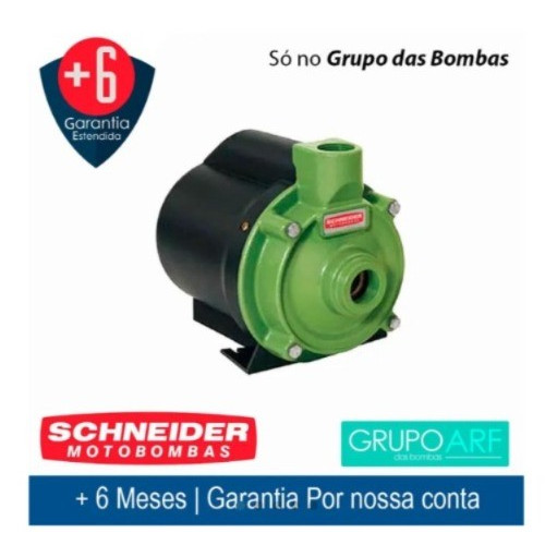 Bomba Schneider 1cv Mono Bcr-2010 60hz 220v