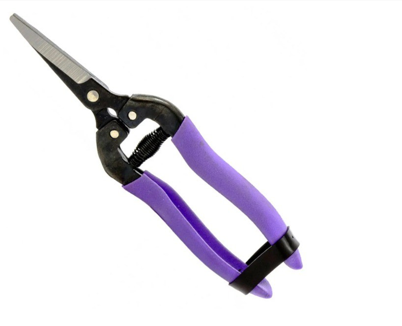 Tesoura P/grama P/colheita Corte Reto 180mm Palisad